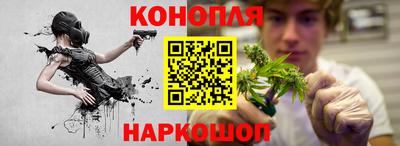 сатива Анапа